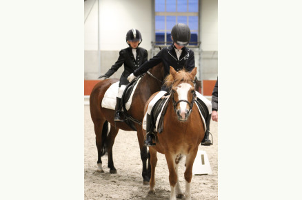 Manege Het Keelven VMP123